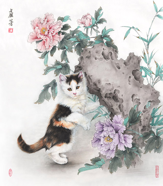 三花猫